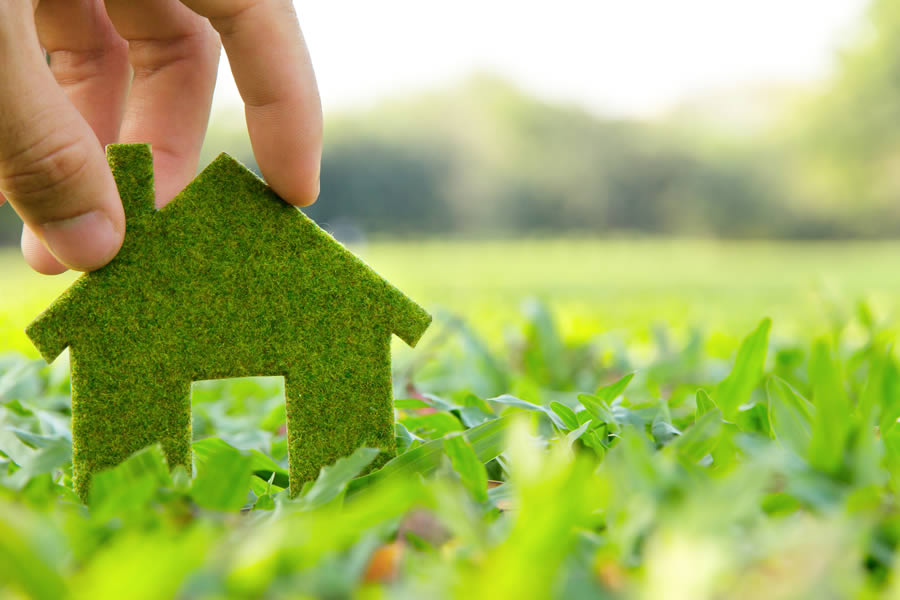 Green Roofing Plymouth MI