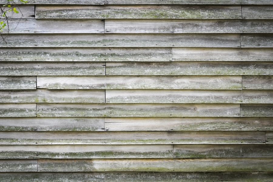 Should You Get Wood Siding in Plymouth Michigan?