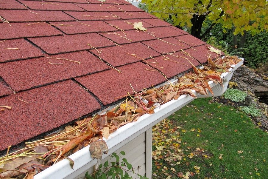 The Best Ways To Prevent Damage To Your Roof in Plymouth Michigan